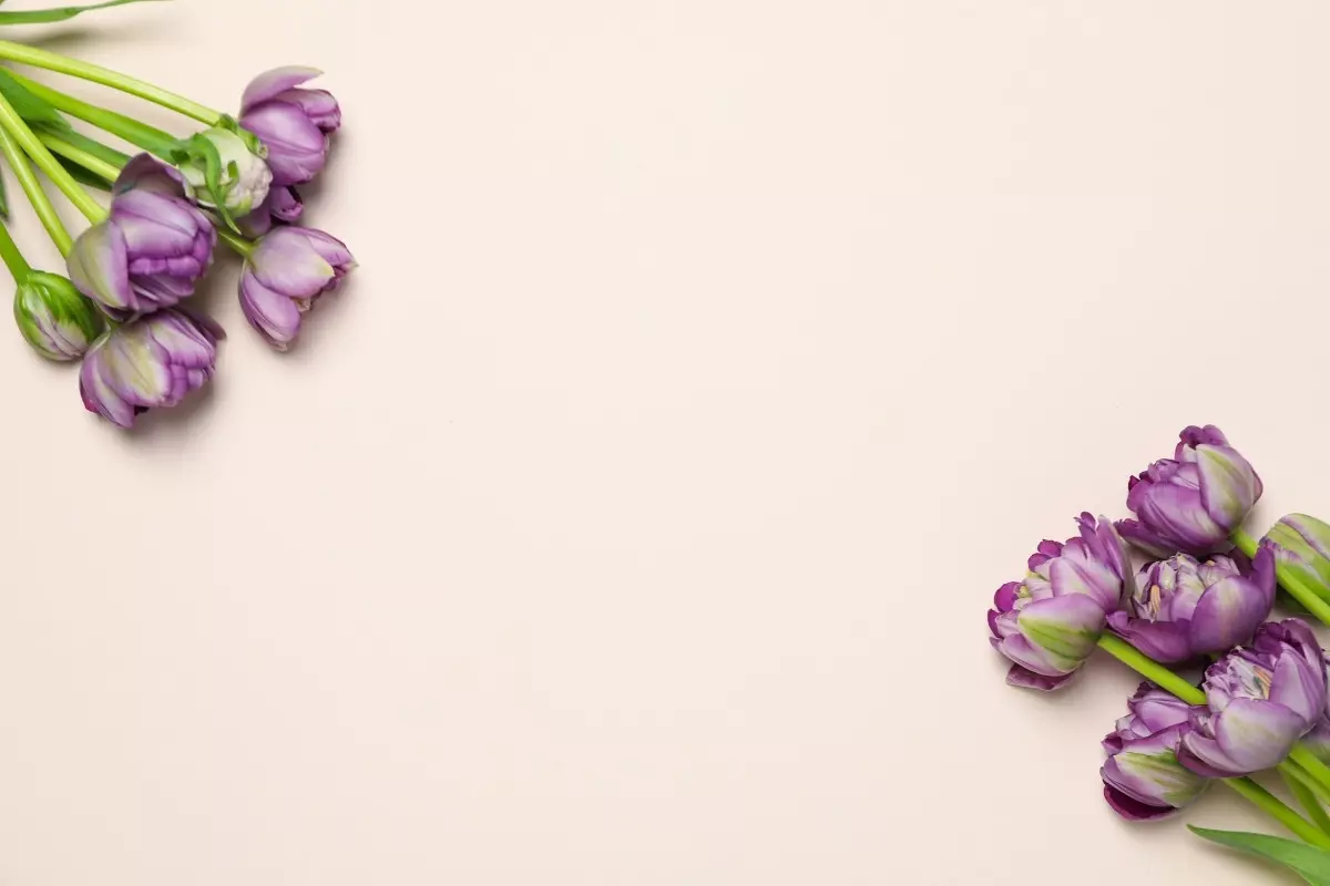 mẫu background ng&agrave;y 20/10 s&aacute;ng tạo