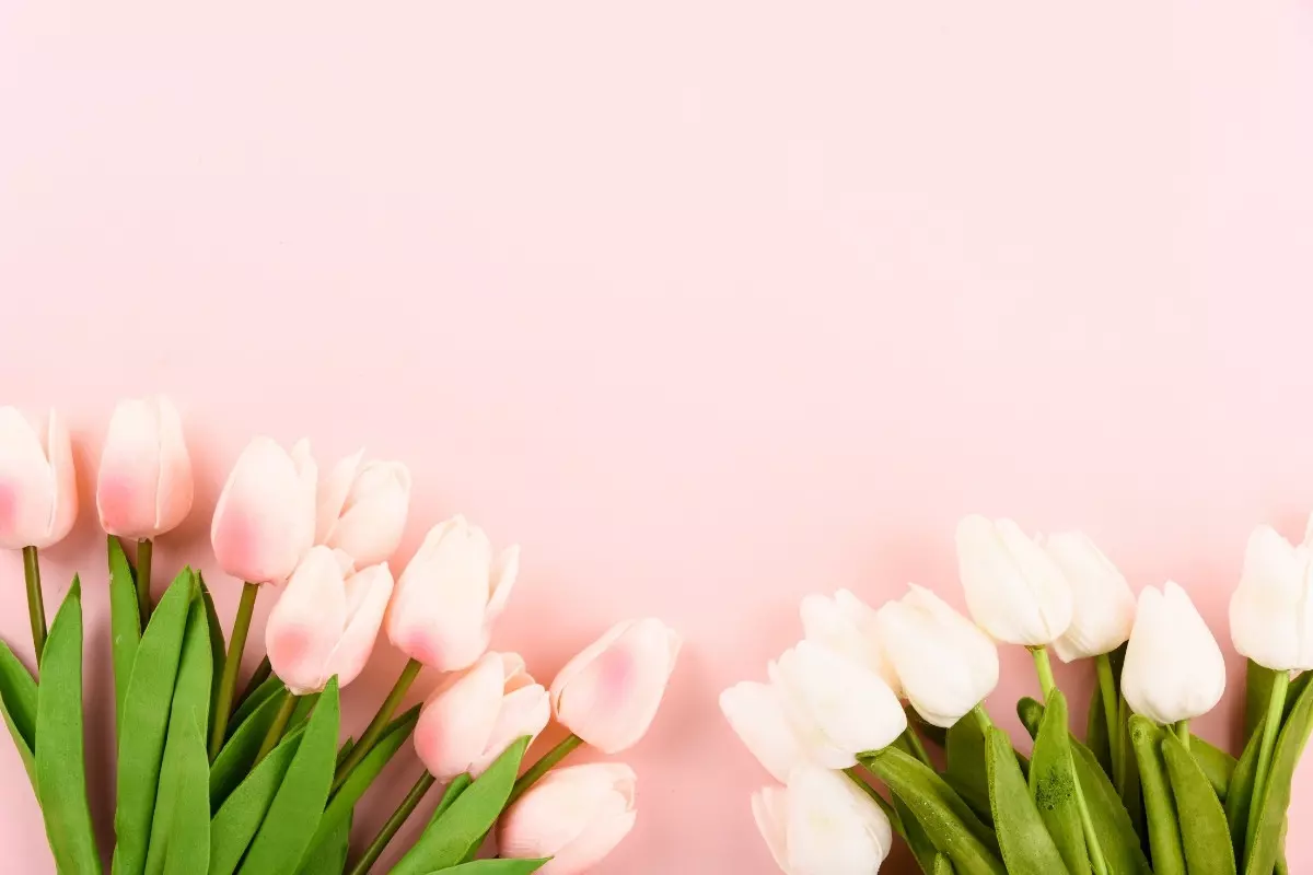 mẫu background ng&agrave;y 20/10 s&aacute;ng tạo