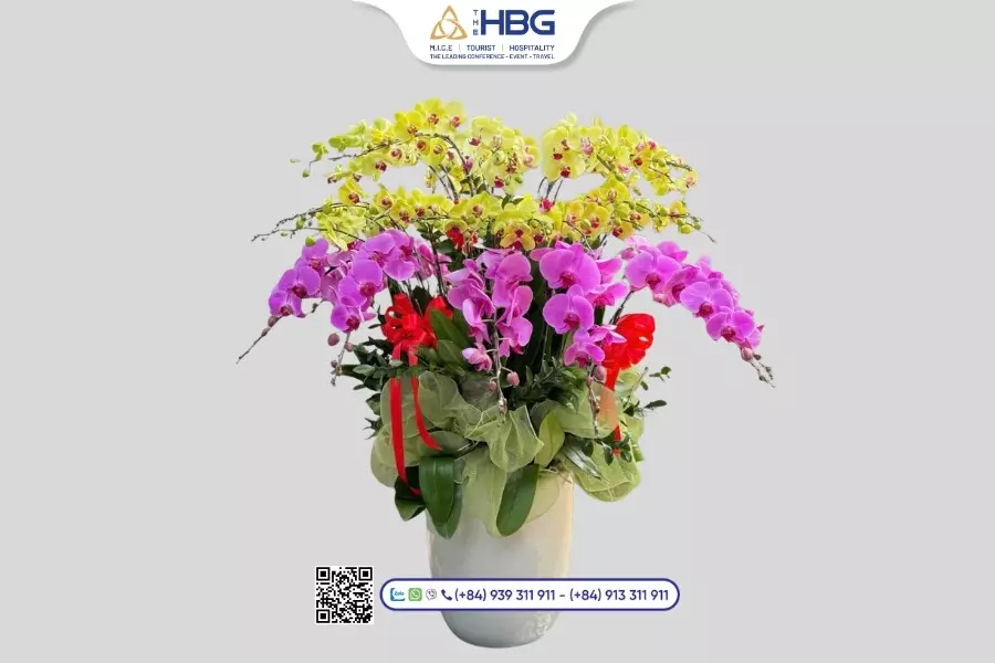 TOP 10+ loại hoa 20/11 ý nghĩa tặng thầy cô TOP 10+ loại hoa 20/11 ý nghĩa tặng thầy cô