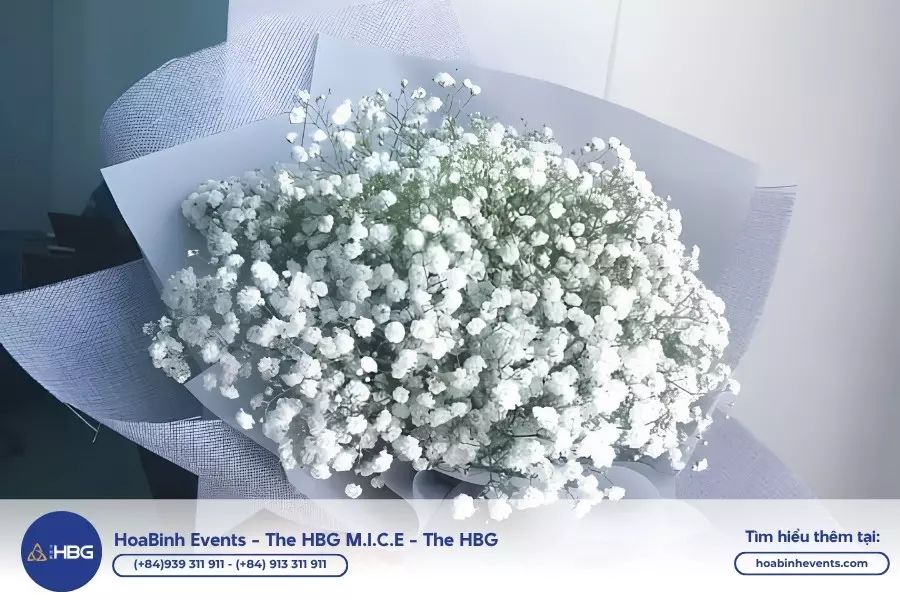 Những loại hoa ch&uacute;c mừng 20/10 được y&ecirc;u th&iacute;ch