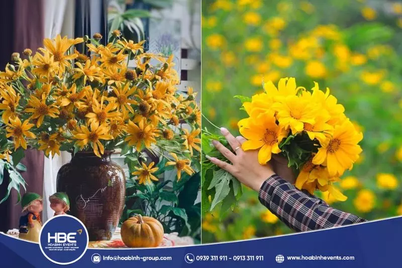 hoa chúc mừng nhân dịp ngày 22/12