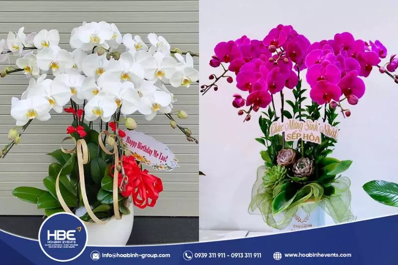 hoa ch&uacute;c mừng ng&agrave;y thầy thuốc Việt Nam