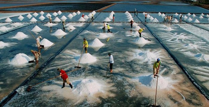 Cánh đồng muối từ lâu đã trở thành một nét rất đặc trưng của tỉnh Bạc Liêu.