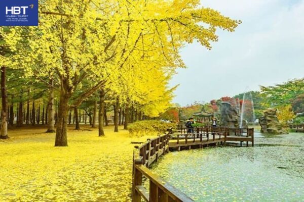 Mùa thu là mùa lãng mạn nhất ở đảo Nami