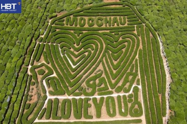 Mộc Châu dịp lễ là thiên đường nghỉ dưỡng