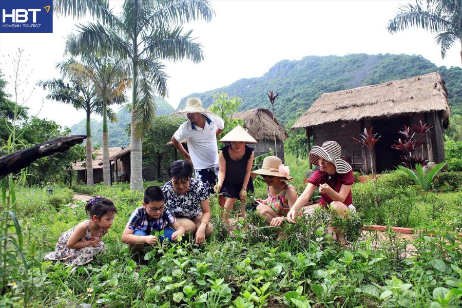 làng việt hải