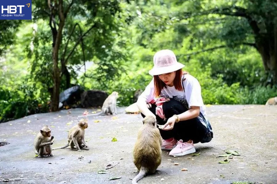 bãi tắm ba trái đào