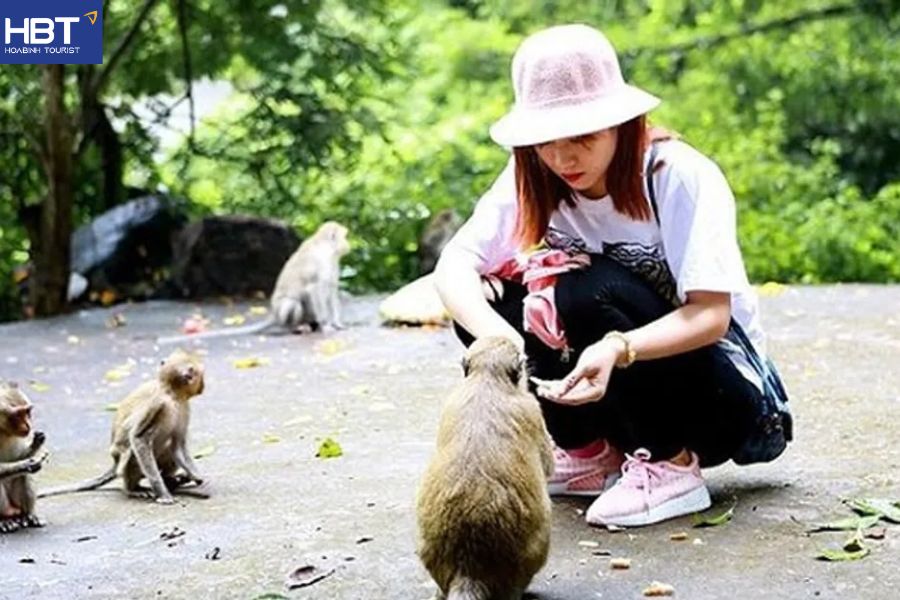 Đảo khỉ Cát Bà