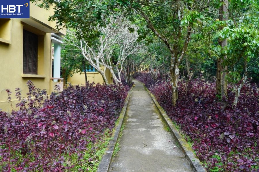 du lịch  Viêng Xay