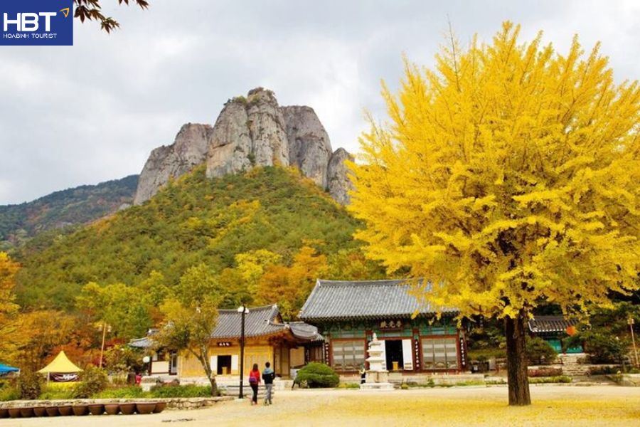 Du lịch Busan