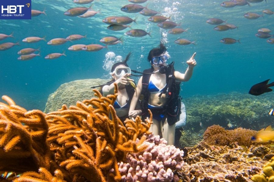 cham island snorkeling