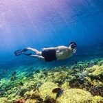 cham island snorkeling
