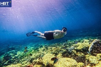 cham island snorkeling