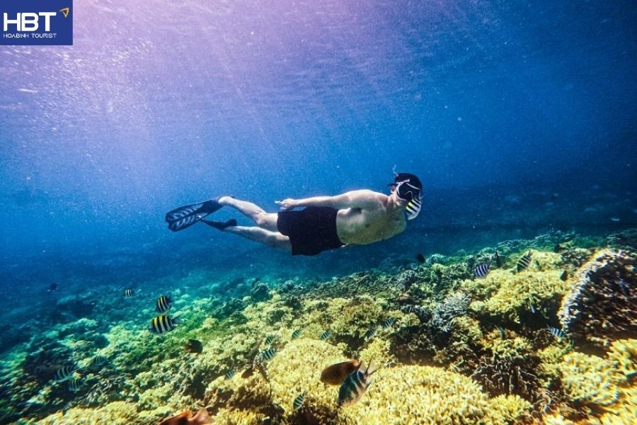 cham island snorkeling