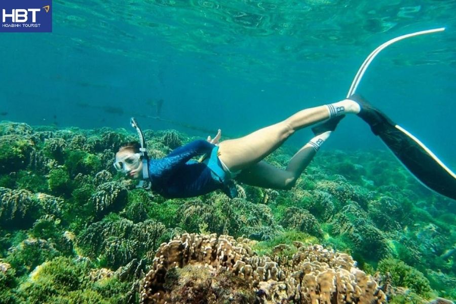 cham island snorkeling