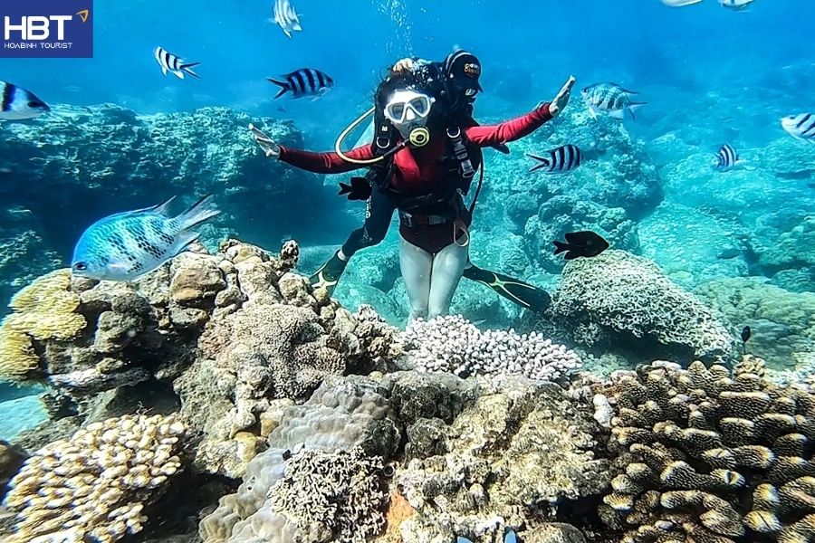 cham island snorkeling