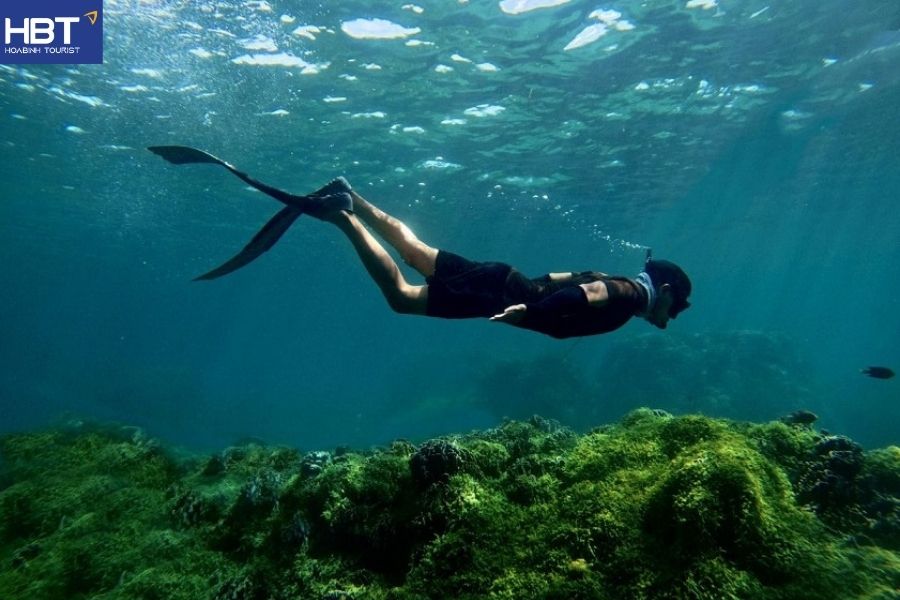 cham island snorkeling