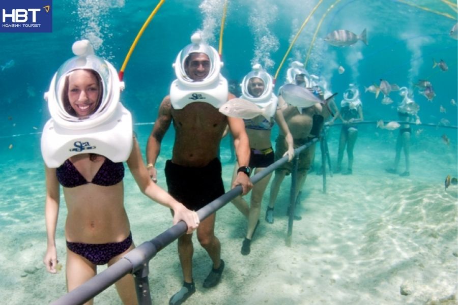 cham island snorkeling