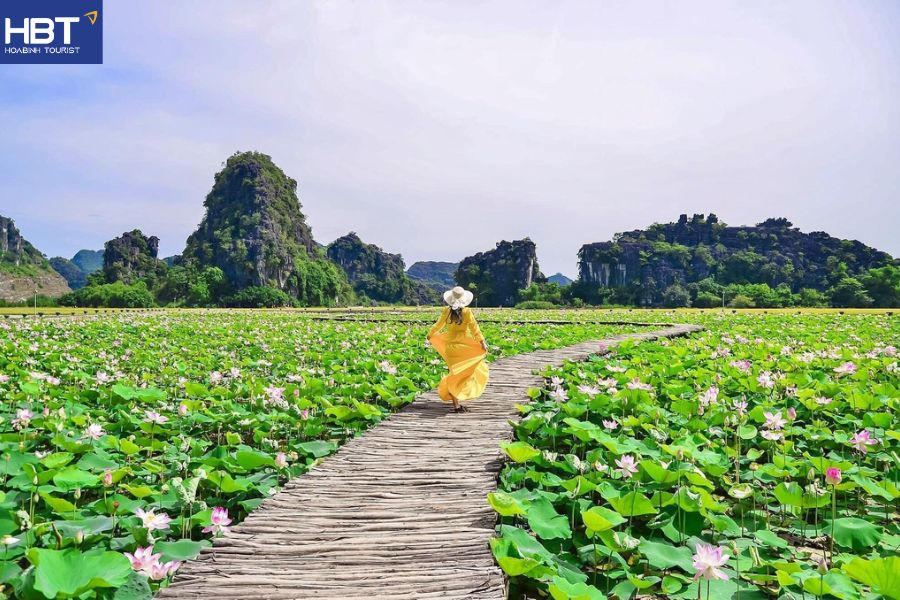 Hang Múa Ninh Bình