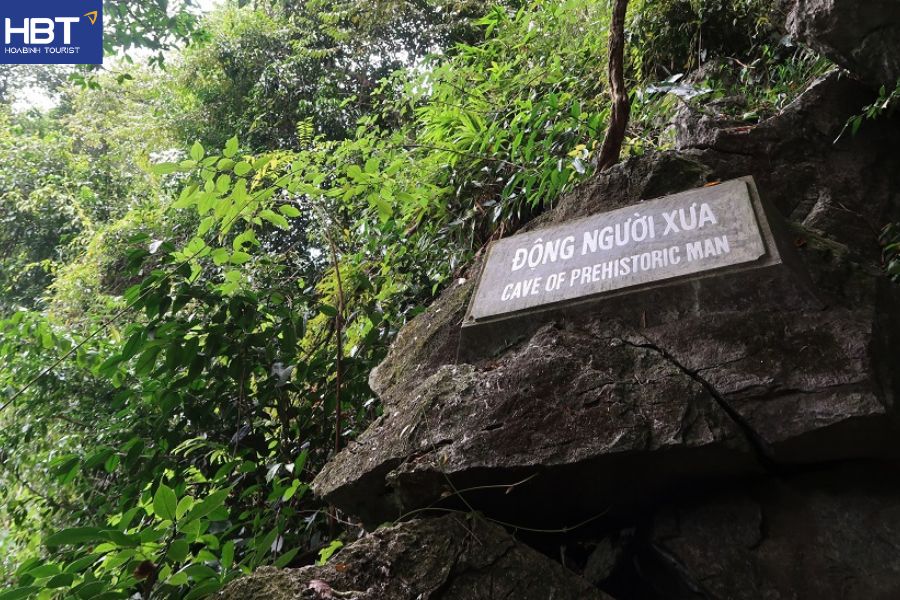 vườn quốc gia cúc phương