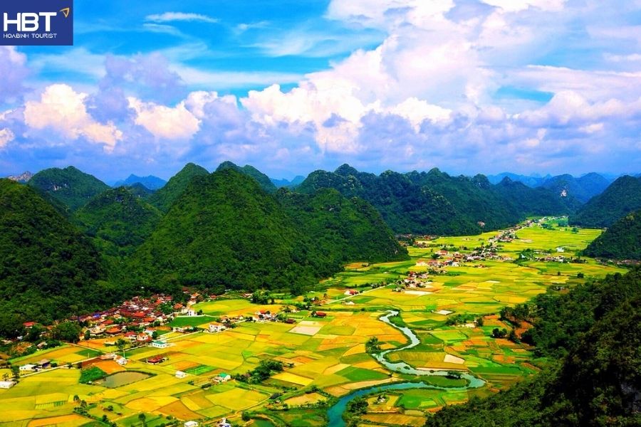 Mộc Châu mùa lúa chín