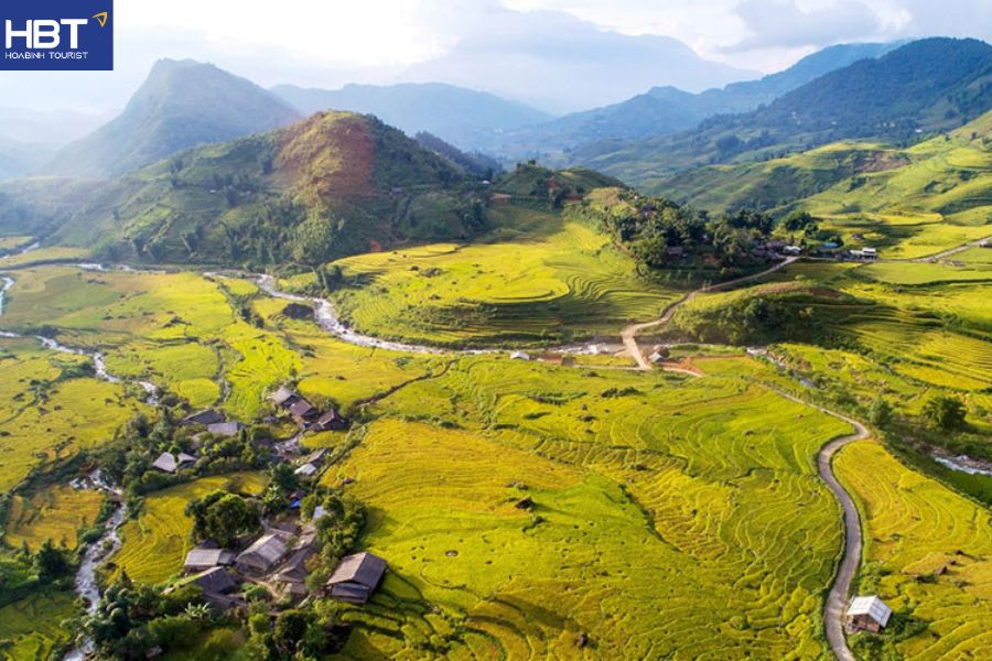 mùa lúa chín Sapa