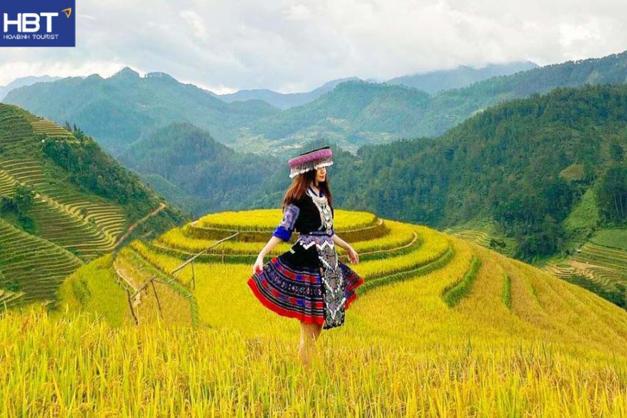Mù Cang Chải mùa lúa chín