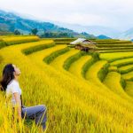 Mù Cang Chải mùa lúa chín