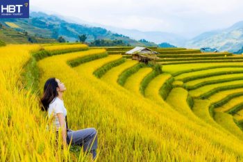 Mù Cang Chải mùa lúa chín