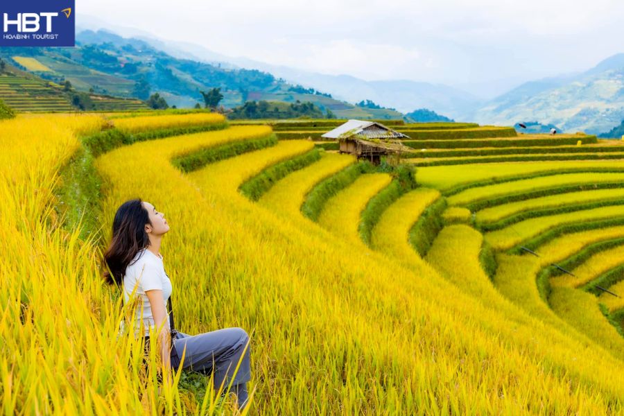 Mù Cang Chải mùa lúa chín