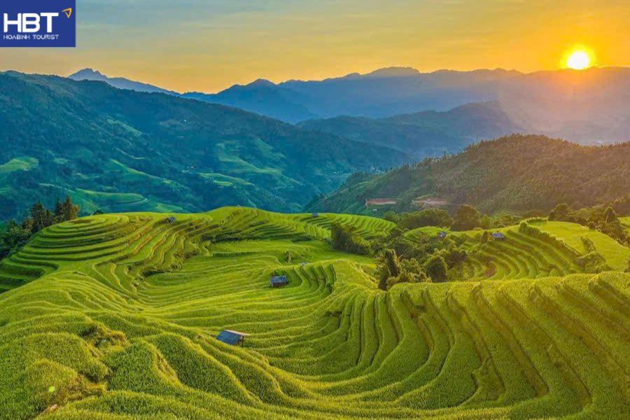 Mù Cang Chải mùa lúa chín