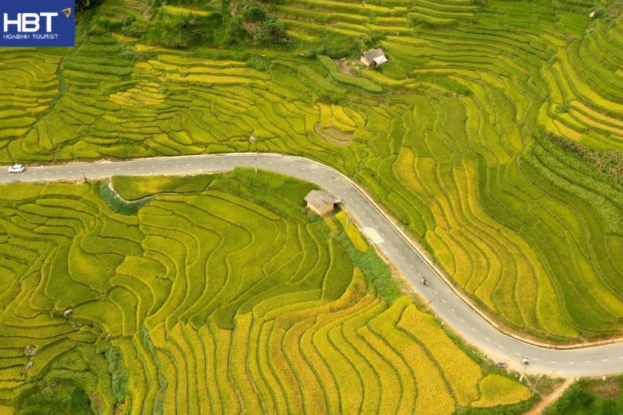 Mù Cang Chải mùa lúa chín