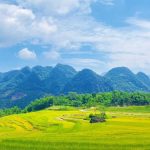 Pù Luông mùa lúa chín