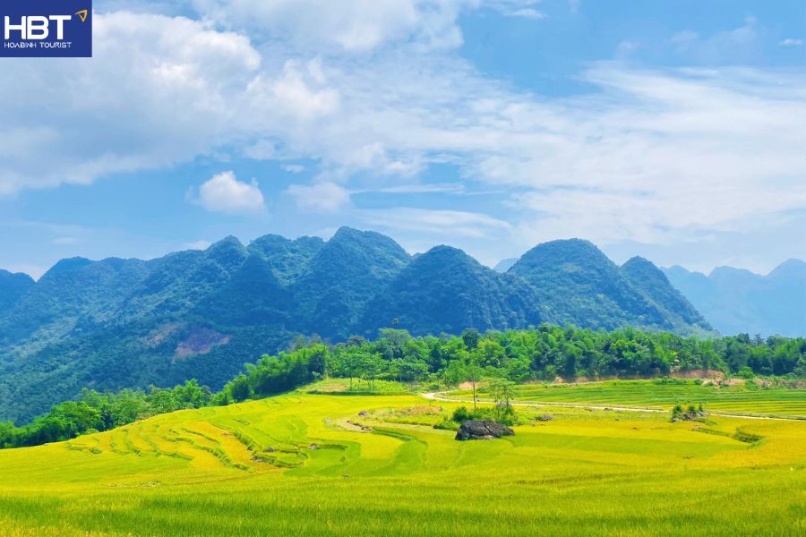 Pù Luông mùa lúa chín