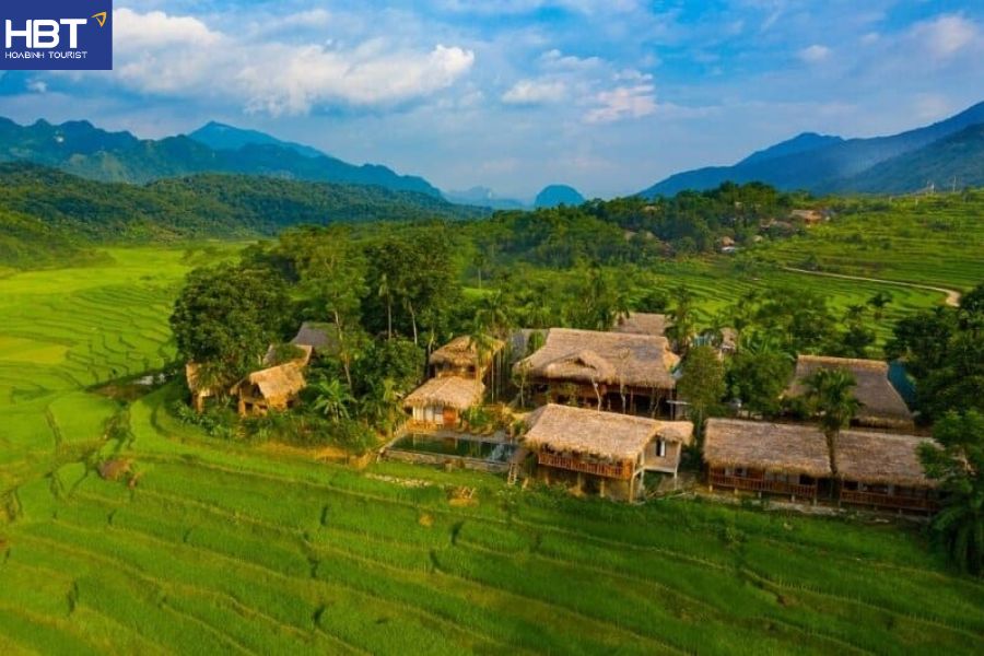 Pù Luông mùa lúa chín