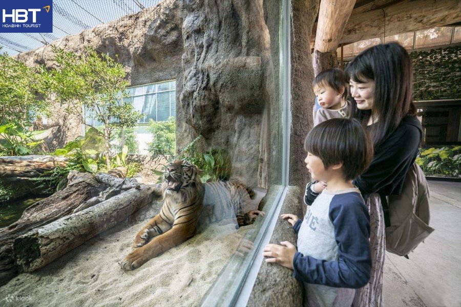 Kobe Nhật Bản