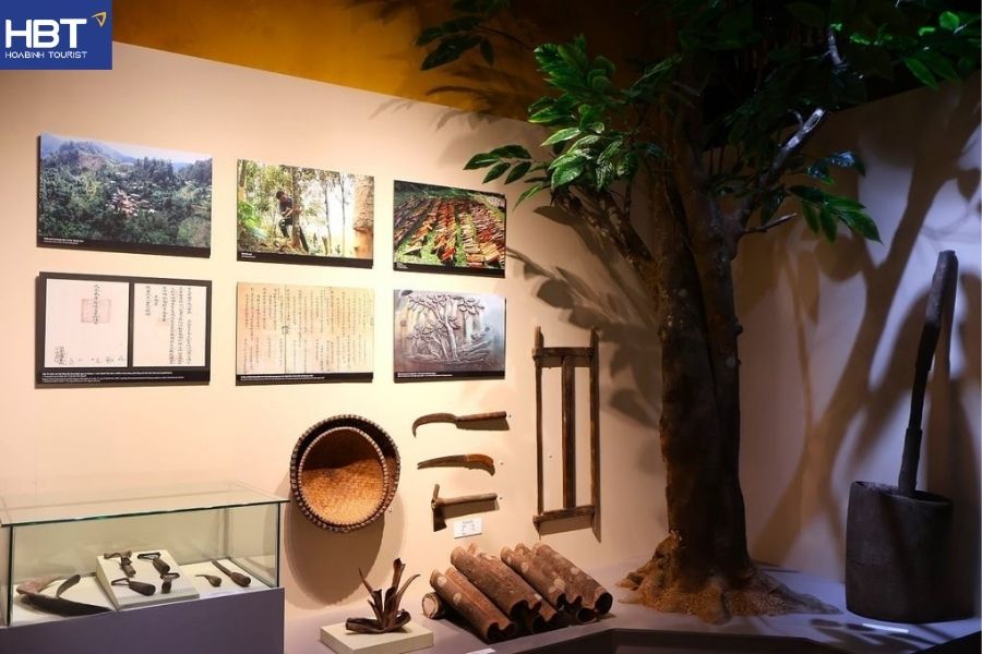 hoi an museum