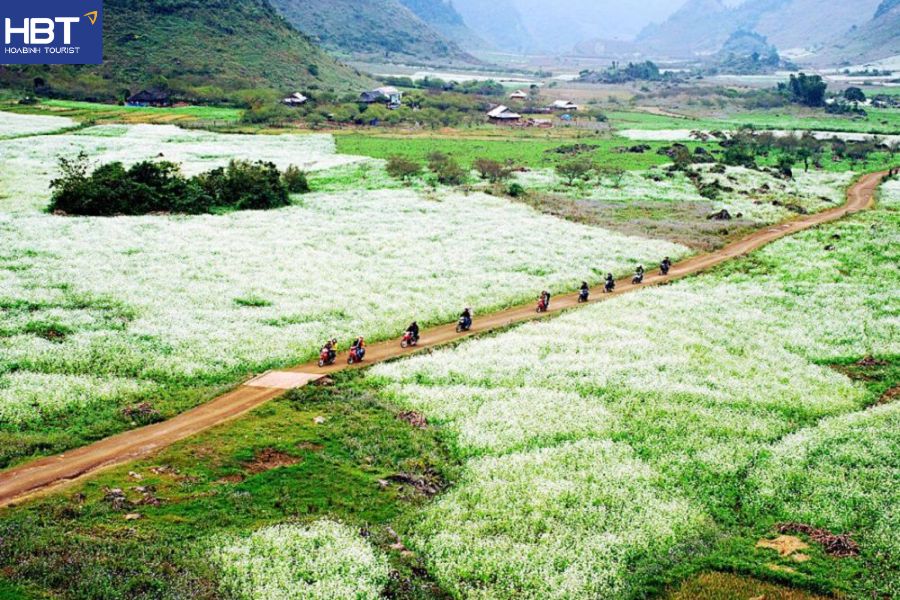Mộc Châu Sơn La