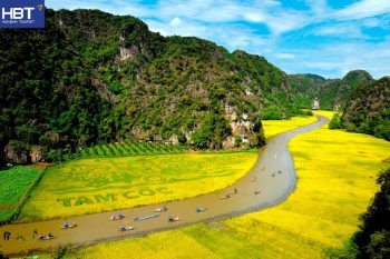 Tam Cốc mùa lúa chín