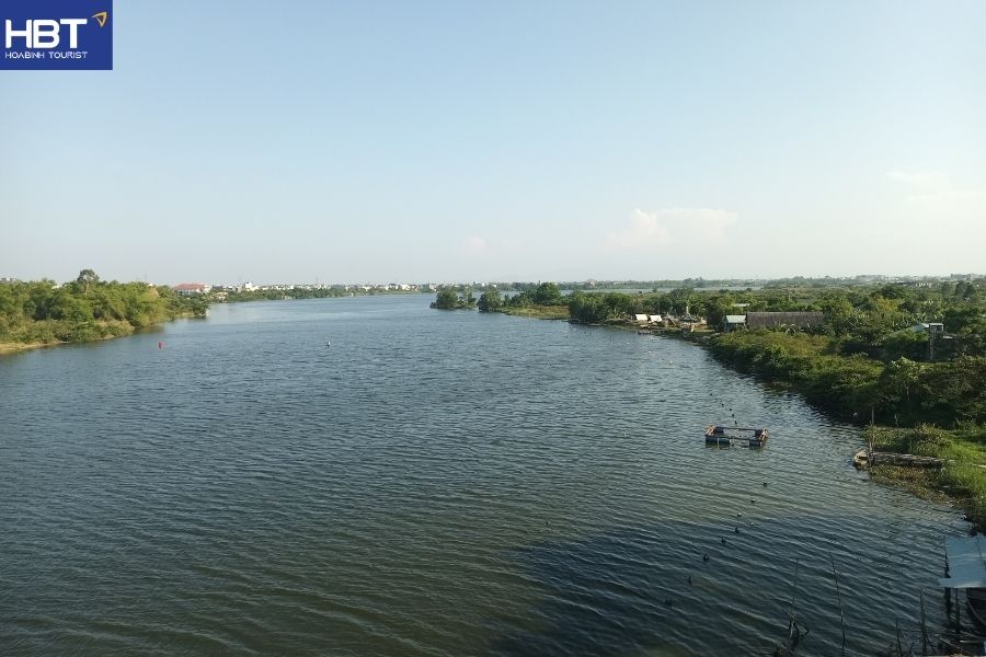 Hoi An rice fields