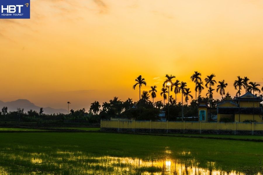 Hoi An rice fields