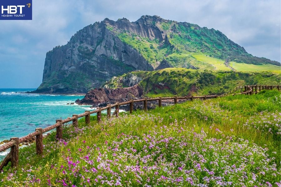 du lịch đảo Jeju Hàn Quốc