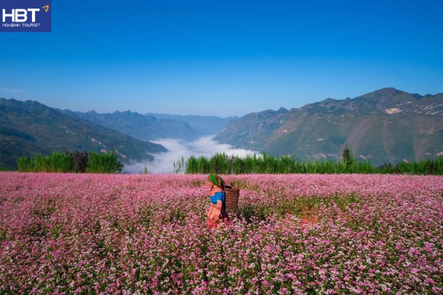 du lịch Đồng Văn