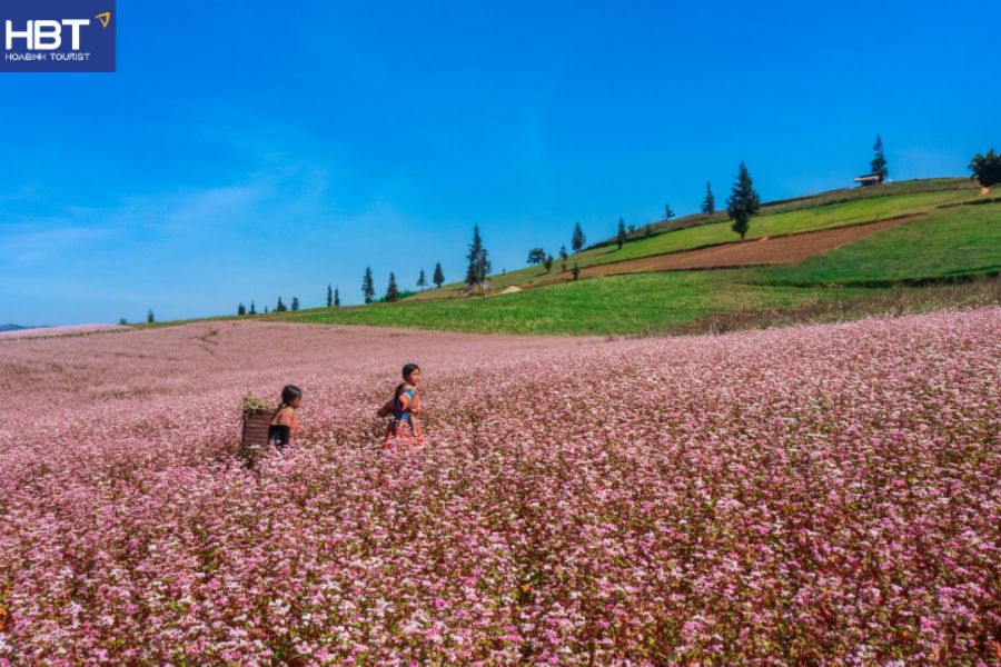 du lịch Đồng Văn