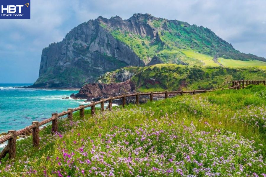 Đi Jeju có cần visa không
