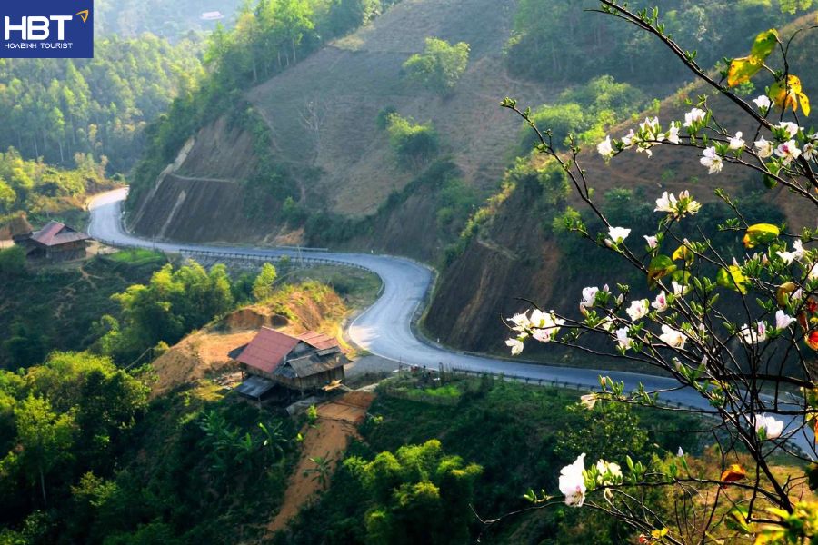 Du lịch điện biên