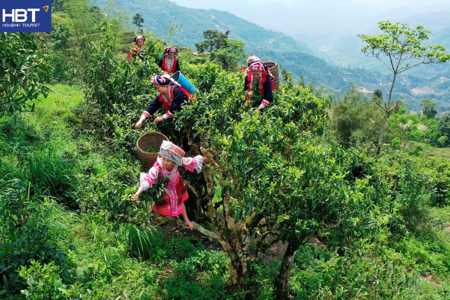 đặc sản Tà Xùa