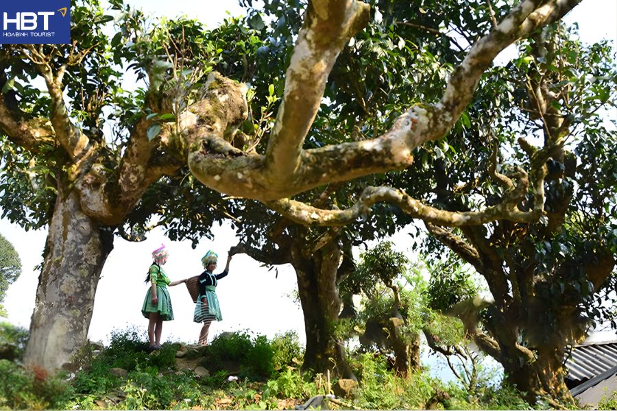 du lịch Tà Xùa