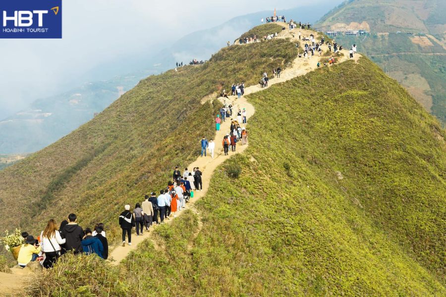 Sống lưng khủng long Tà Xùa