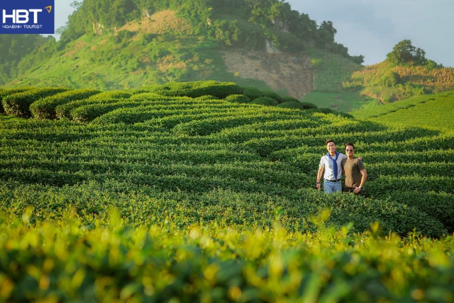 Đồi chè Trái Tim